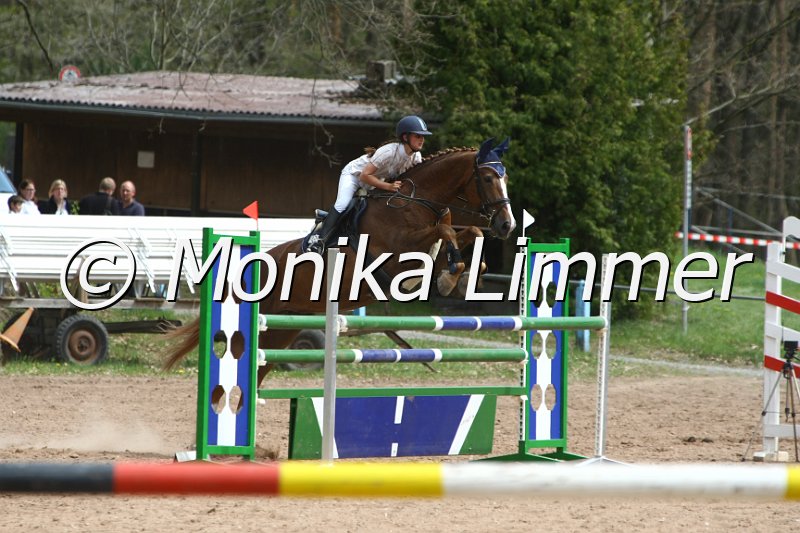 203M6871_Glamour Girl_Punkte_L.JPG